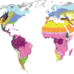 A vector map of the world’s terrestrial b ...